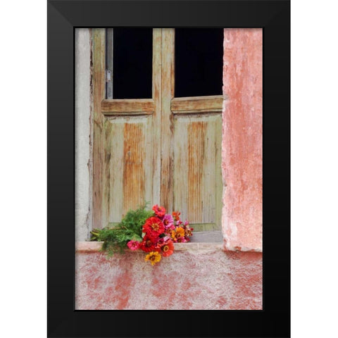 Mexico Zinnias outside window frame Black Modern Wood Framed Art Print by Rotenberg, Nancy