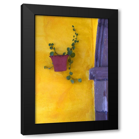 Mexico, San Miguel de Allende Planted pot Black Modern Wood Framed Art Print by Rotenberg, Nancy