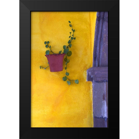 Mexico, San Miguel de Allende Planted pot Black Modern Wood Framed Art Print by Rotenberg, Nancy
