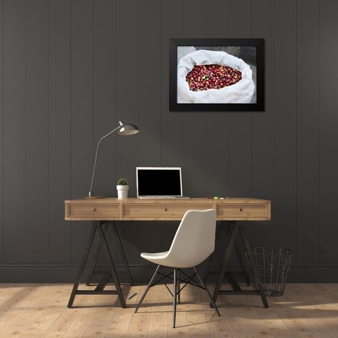 Mexico, Sierra Madre Mts Raw coffee beans in bag Black Modern Wood Framed Art Print by Ross, Steve