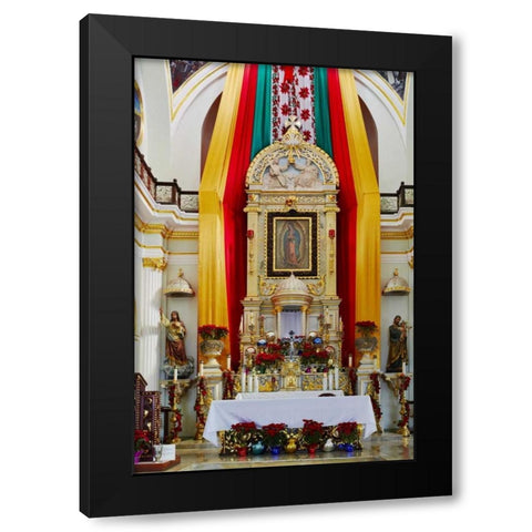 Mexico, Jalisco Our Lady of Guadalupe church Black Modern Wood Framed Art Print with Double Matting by Ross, Steve
