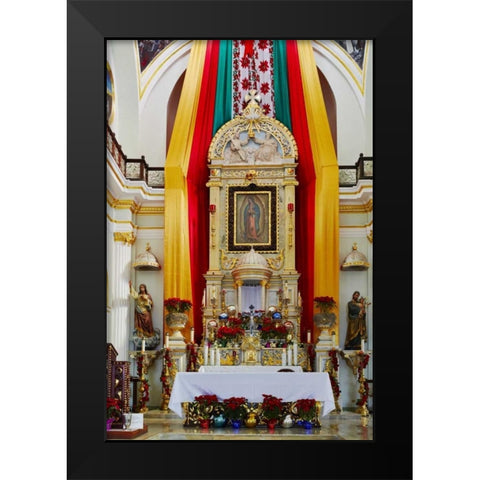 Mexico, Jalisco Our Lady of Guadalupe church Black Modern Wood Framed Art Print by Ross, Steve