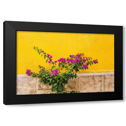Plant against wall in Tlaquepaque-near Guadalajara-Jalisco-Mexico Black Modern Wood Framed Art Print by DeFreitas, Michael
