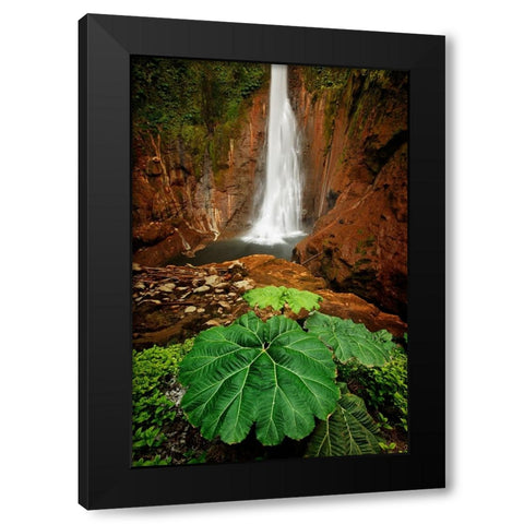Catarata Del Toro Waterfall-in the mountains of Bajos del Toro Amarillo-Sarchi-Costa Rica Black Modern Wood Framed Art Print with Double Matting by Jones, Adam