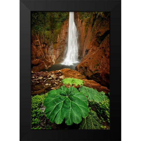 Catarata Del Toro Waterfall-in the mountains of Bajos del Toro Amarillo-Sarchi-Costa Rica Black Modern Wood Framed Art Print by Jones, Adam