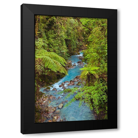 Small stream or creek-Costa Rica Black Modern Wood Framed Art Print by Jones, Adam