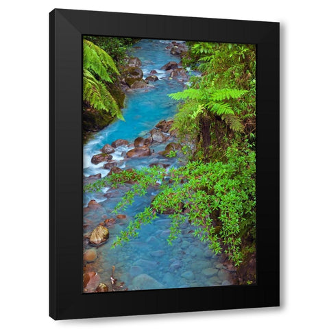 Small stream or creek-Costa Rica Black Modern Wood Framed Art Print by Jones, Adam
