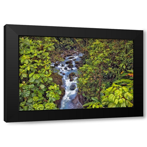 Small stream or creek-Costa Rica Black Modern Wood Framed Art Print with Double Matting by Jones, Adam