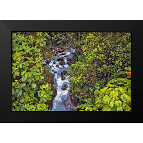 Small stream or creek-Costa Rica Black Modern Wood Framed Art Print by Jones, Adam