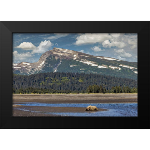 Grizzly bear resting on beach with mountain backdrop-Lake Clark National Park and Preserve Black Modern Wood Framed Art Print by Jones, Adam