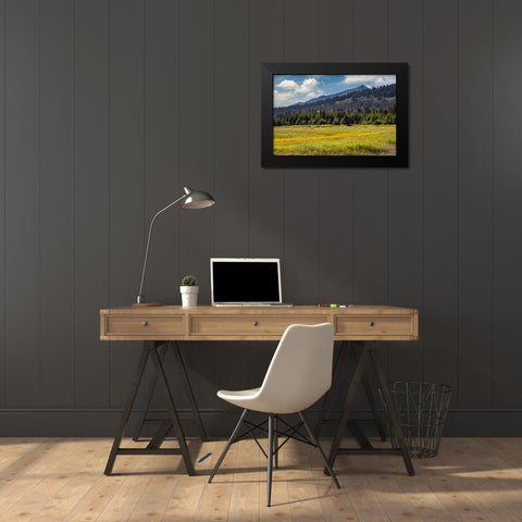 Meadow and mountains at Silver Salmon Creek-Lake Clark National Park and Preserve-Alaska Black Modern Wood Framed Art Print by Jones, Adam