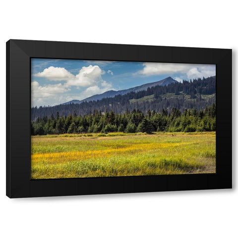 Meadow and mountains at Silver Salmon Creek-Lake Clark National Park and Preserve-Alaska Black Modern Wood Framed Art Print with Double Matting by Jones, Adam