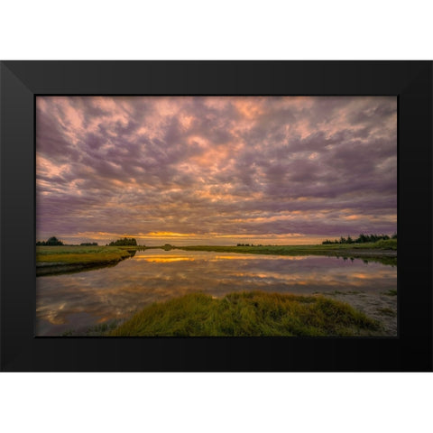 Sunrise on slough of Silver Salmon Creek-Lake Clark National Park and Preserve-Alaska Black Modern Wood Framed Art Print by Jones, Adam