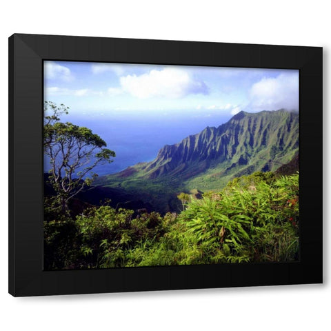 USA, Kauai, Hawaii View above the Na Pali Coast Black Modern Wood Framed Art Print by Talbot Frank, Christopher