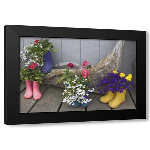 Alaska, Homer Rubber boots used as flower pots Black Modern Wood Framed Art Print with Double Matting by Flaherty, Dennis