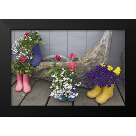 Alaska, Homer Rubber boots used as flower pots Black Modern Wood Framed Art Print by Flaherty, Dennis