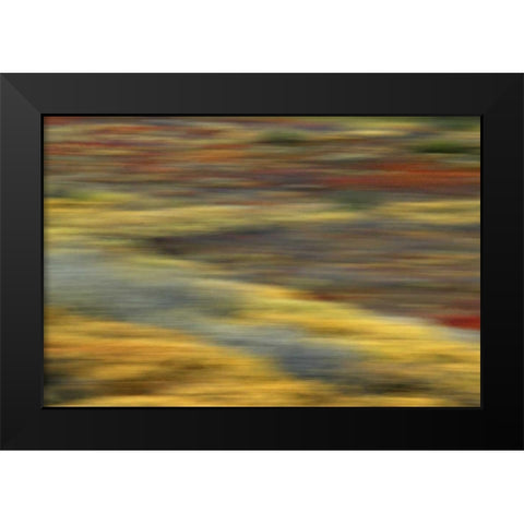 AK, Denali NP Abstract blur of autumn tundra Black Modern Wood Framed Art Print by Morris, Arthur