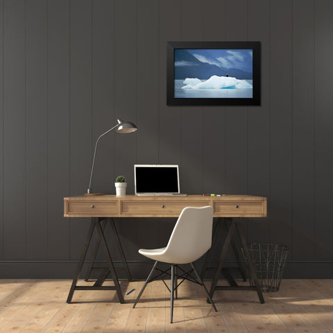 AK, Inside Passage Bald eagle perched on ice Black Modern Wood Framed Art Print by Rotenberg, Nancy