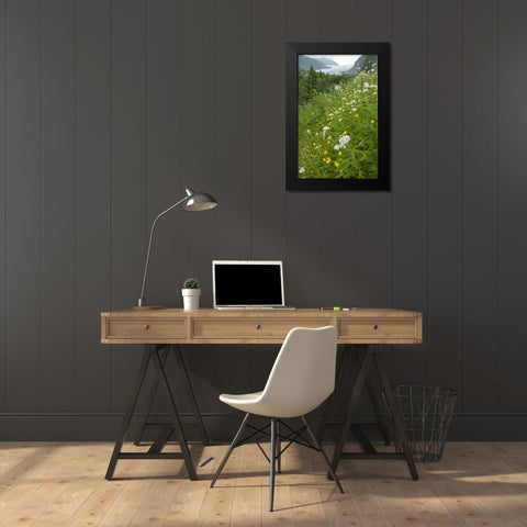 Alaska flowers with Mendenhall Glacier Black Modern Wood Framed Art Print by Rotenberg, Nancy