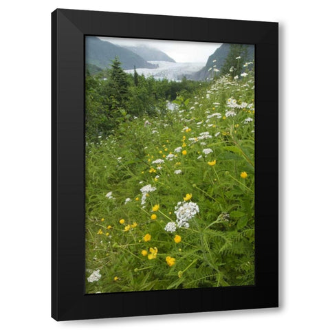Alaska flowers with Mendenhall Glacier Black Modern Wood Framed Art Print by Rotenberg, Nancy