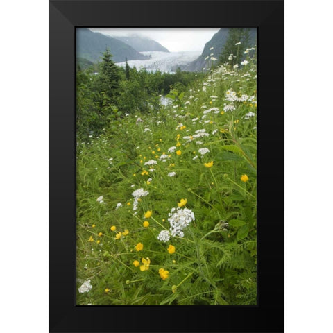 Alaska flowers with Mendenhall Glacier Black Modern Wood Framed Art Print by Rotenberg, Nancy