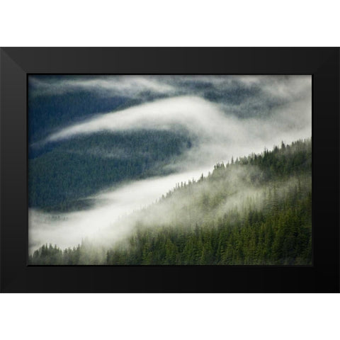 AK, Inside Passage Fog pattern over a mountain Black Modern Wood Framed Art Print by Rotenberg, Nancy