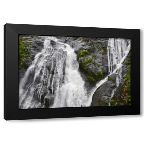 AK, Inside Passage Waterfalls rush down rock Black Modern Wood Framed Art Print by Rotenberg, Nancy