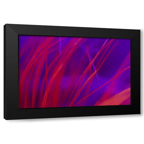 AK, Lake Clark NP Abstract of fishing fly Black Modern Wood Framed Art Print with Double Matting by Kaveney, Wendy