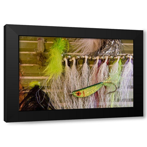 AK, Lake Clark NP Fishing flies Black Modern Wood Framed Art Print with Double Matting by Kaveney, Wendy