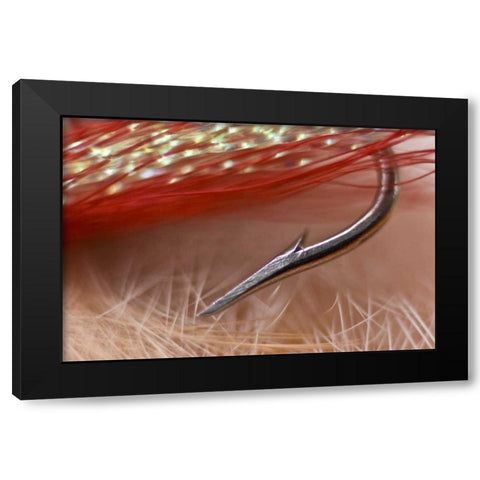 AK, Lake Clark NP Macro of a fishing hook Black Modern Wood Framed Art Print by Kaveney, Wendy