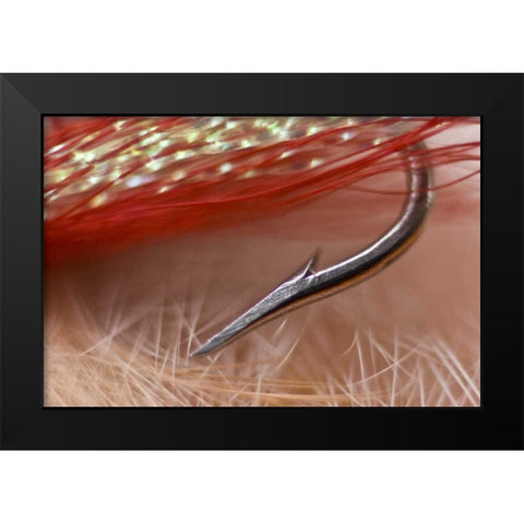 AK, Lake Clark NP Macro of a fishing hook Black Modern Wood Framed Art Print by Kaveney, Wendy