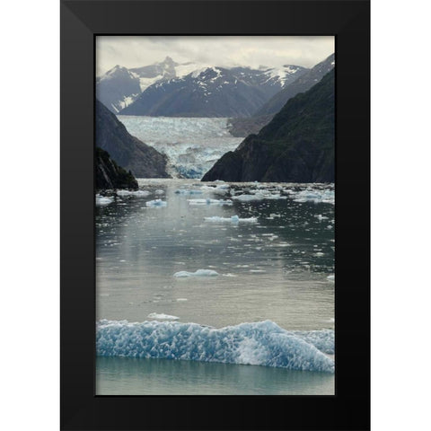 Alaska, Tracey Arm View of South Sawyer Glacier Black Modern Wood Framed Art Print by Ross, Nancy ,  Steve