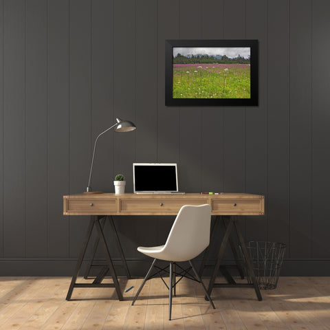 AK, Seward Fireweed and cow parsnip in bloom Black Modern Wood Framed Art Print by Flaherty, Dennis