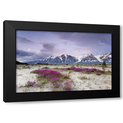 Alaska View of flowers and Fairweather Range Black Modern Wood Framed Art Print by Paulson, Don