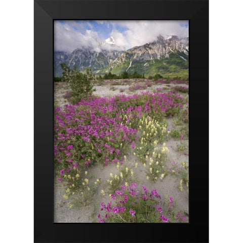 Alaska View of flowers and Fairweather Range Black Modern Wood Framed Art Print by Paulson, Don