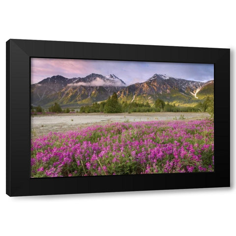 Alaska View of flowers and Fairweather Range Black Modern Wood Framed Art Print with Double Matting by Paulson, Don