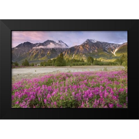 Alaska View of flowers and Fairweather Range Black Modern Wood Framed Art Print by Paulson, Don