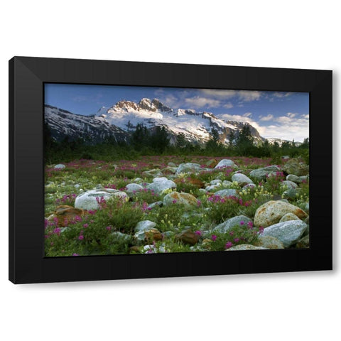 AK, Alsek-Tatshenshini Meadow landscape Black Modern Wood Framed Art Print with Double Matting by Paulson, Don