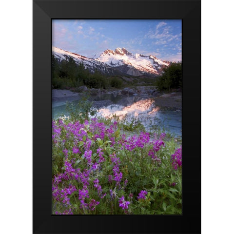 AK, Alsek-Tatshenshini Mountain landscape Black Modern Wood Framed Art Print by Paulson, Don