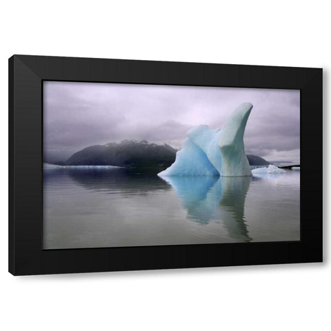 Alaska, Alsek River Valley Iceberg on Alsek Lake Black Modern Wood Framed Art Print with Double Matting by Paulson, Don