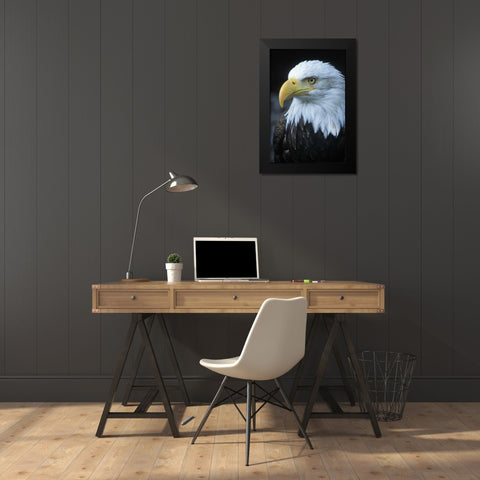 Alaska, Inside Passage Adult bald eagle portrait Black Modern Wood Framed Art Print by Rotenberg, Nancy