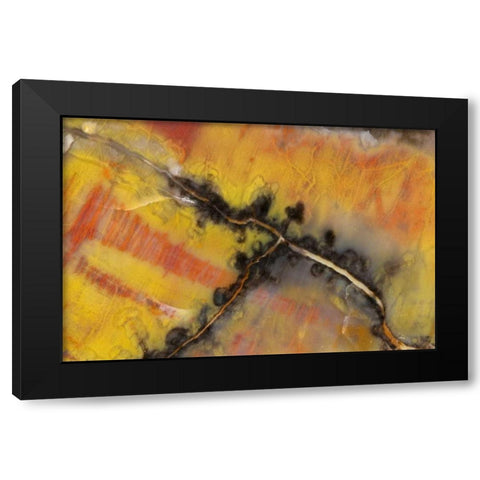 USA, Arizona Close-up of petrified wood Black Modern Wood Framed Art Print with Double Matting by Kirkland, Dennis