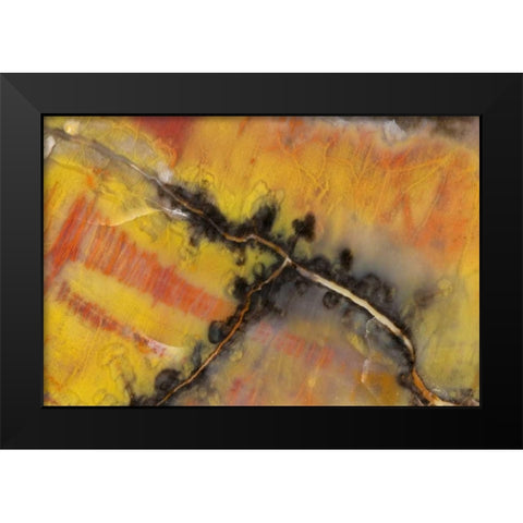 USA, Arizona Close-up of petrified wood Black Modern Wood Framed Art Print by Kirkland, Dennis
