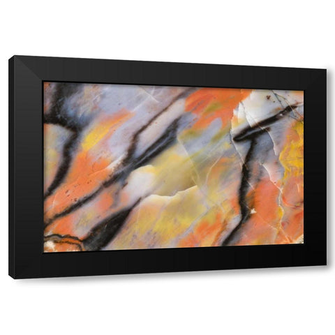 USA, Arizona Close-up of petrified wood Black Modern Wood Framed Art Print with Double Matting by Kirkland, Dennis