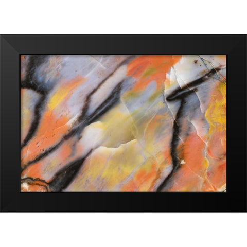 USA, Arizona Close-up of petrified wood Black Modern Wood Framed Art Print by Kirkland, Dennis