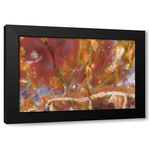 USA, Arizona Close-up of petrified wood Black Modern Wood Framed Art Print with Double Matting by Kirkland, Dennis