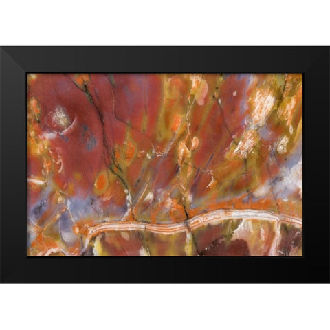 USA, Arizona Close-up of petrified wood Black Modern Wood Framed Art Print by Kirkland, Dennis