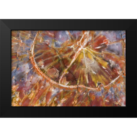 USA, Arizona Close-up of petrified wood Black Modern Wood Framed Art Print by Kirkland, Dennis