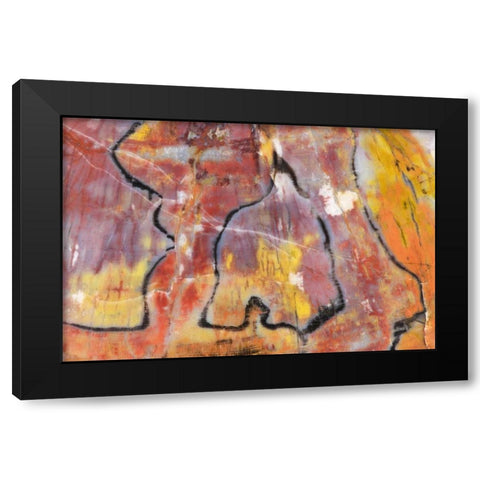 USA, Arizona Close-up of petrified wood Black Modern Wood Framed Art Print with Double Matting by Kirkland, Dennis