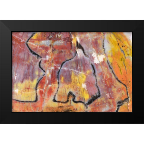 USA, Arizona Close-up of petrified wood Black Modern Wood Framed Art Print by Kirkland, Dennis